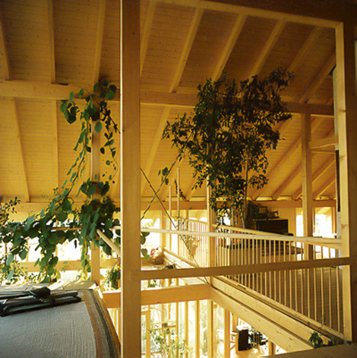 Holzskeletthaus - der Durchstich zum Wintergarten - mit KIWI