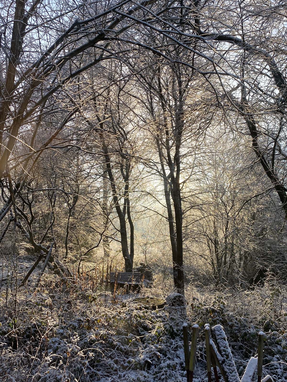 Winter in Holzhäuser