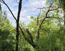 Pfingstunwetter 2022