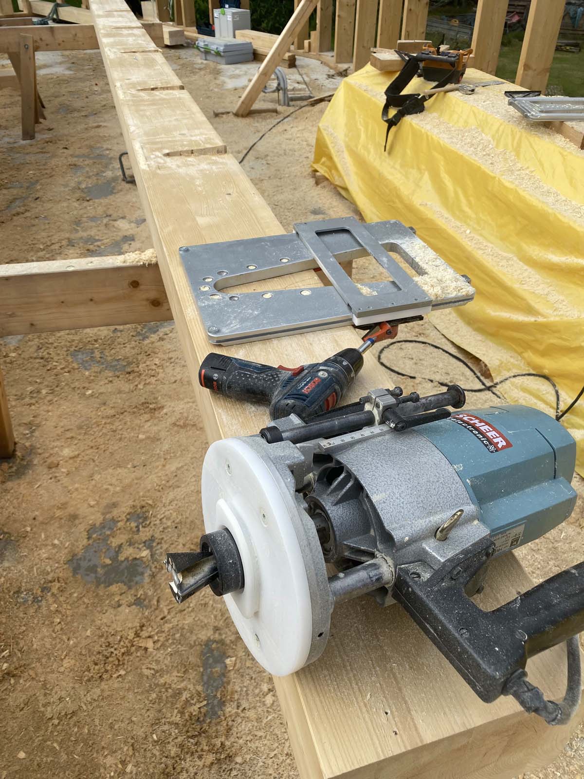 die letzte Schwalbe am westlichsten Randbalken