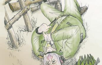 Illustrationen
